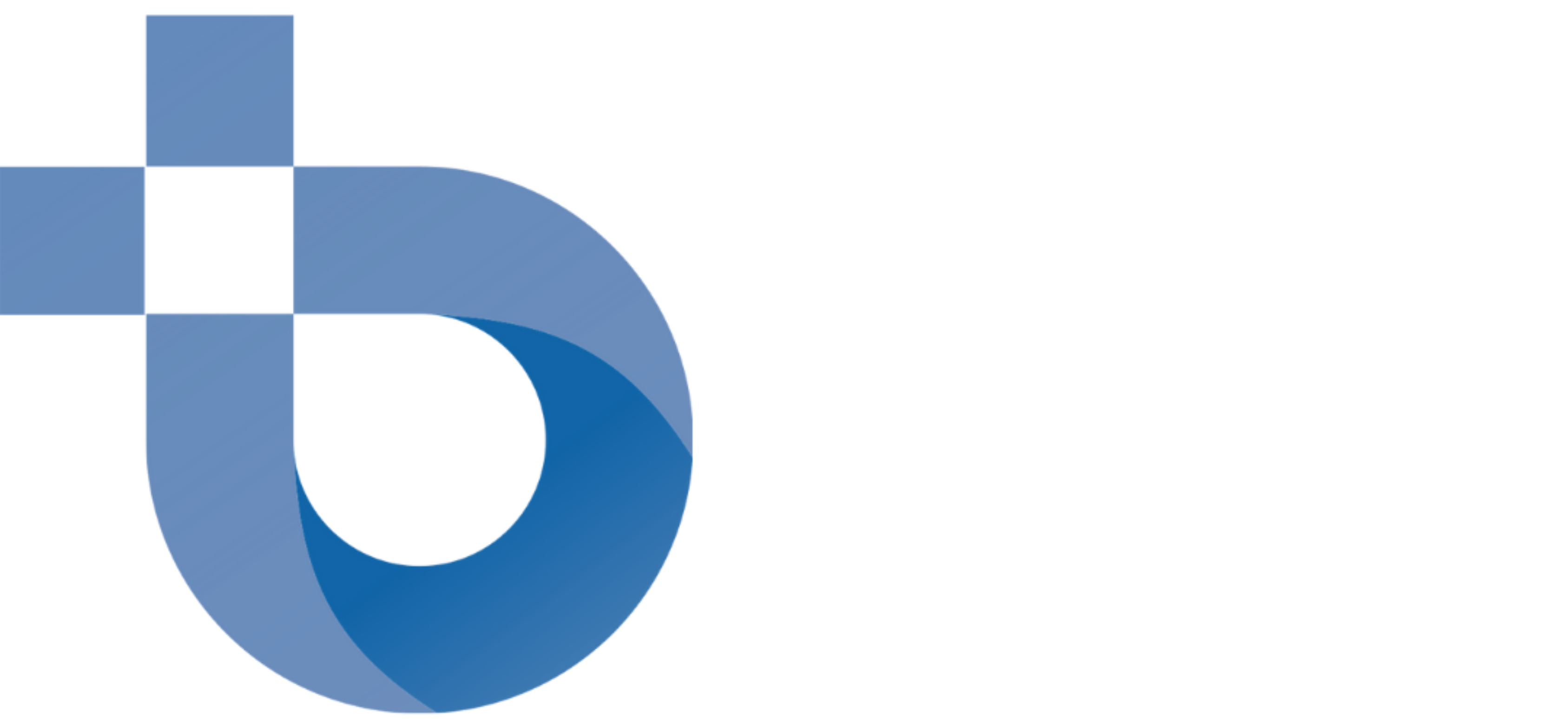 IBBM